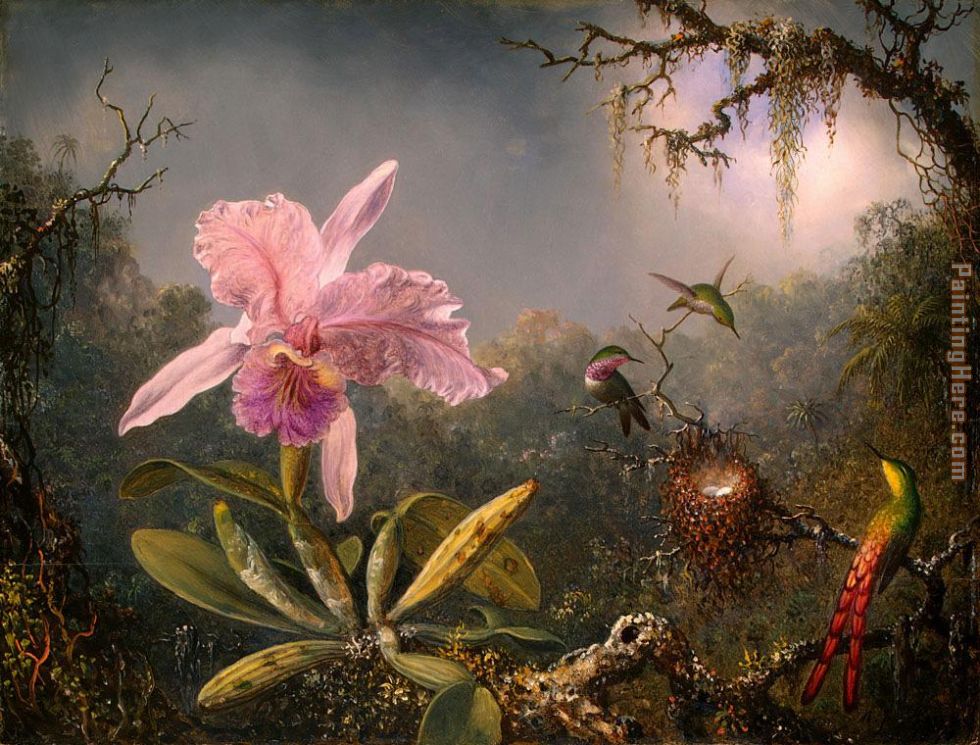 Cattleya Orchid and Three Brazilian Hummingbirds painting - Martin Johnson Heade Cattleya Orchid and Three Brazilian Hummingbirds art painting